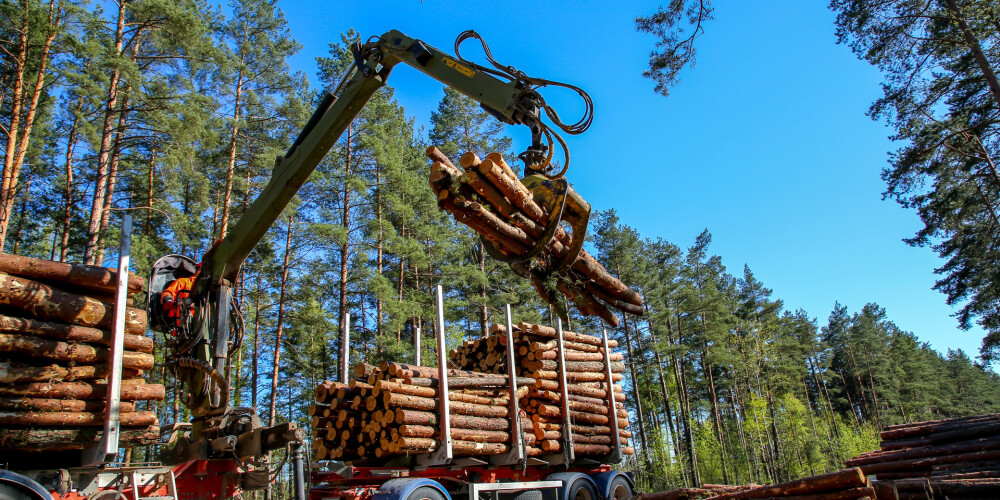 Latvijas mežos grib izzāģēt arvien tievākus kokus