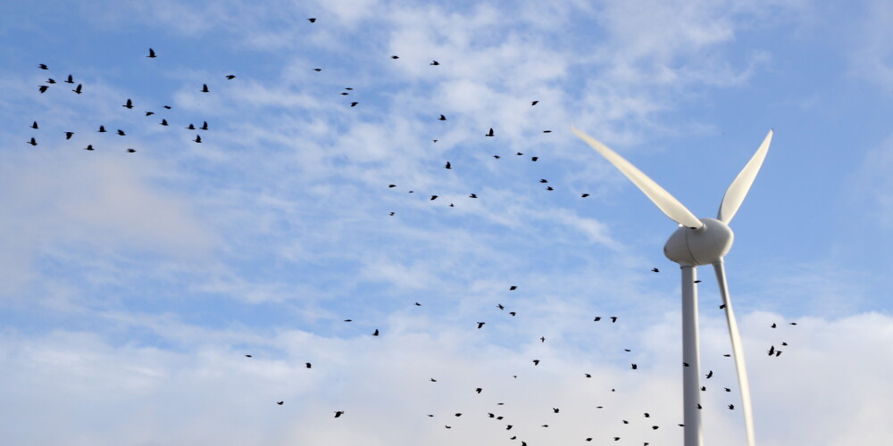 В течение следующих десяти лет планируется способствовать производству ветряной и солнечной энергии