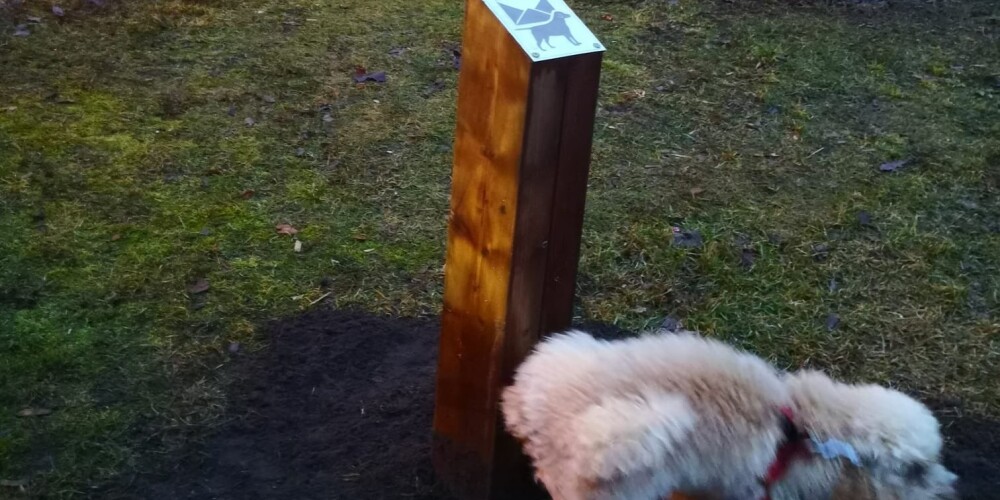 Uzvaras parkā ierīkotas īpašas čurāšanas vietas suņiem