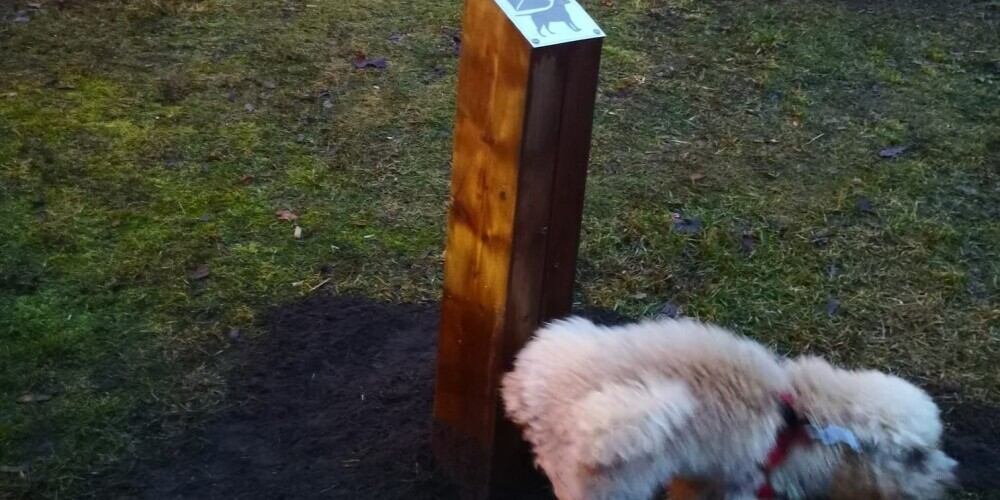 В парке Победы появились "столбики для собак"