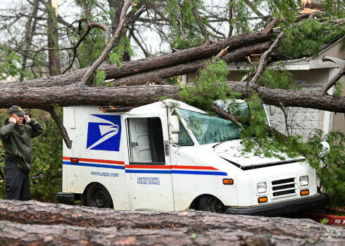 Vīrietis runā pa telefonu līdzās pasta mašīnai, kurai virsū uzgāzies vētras nolauzts koks.