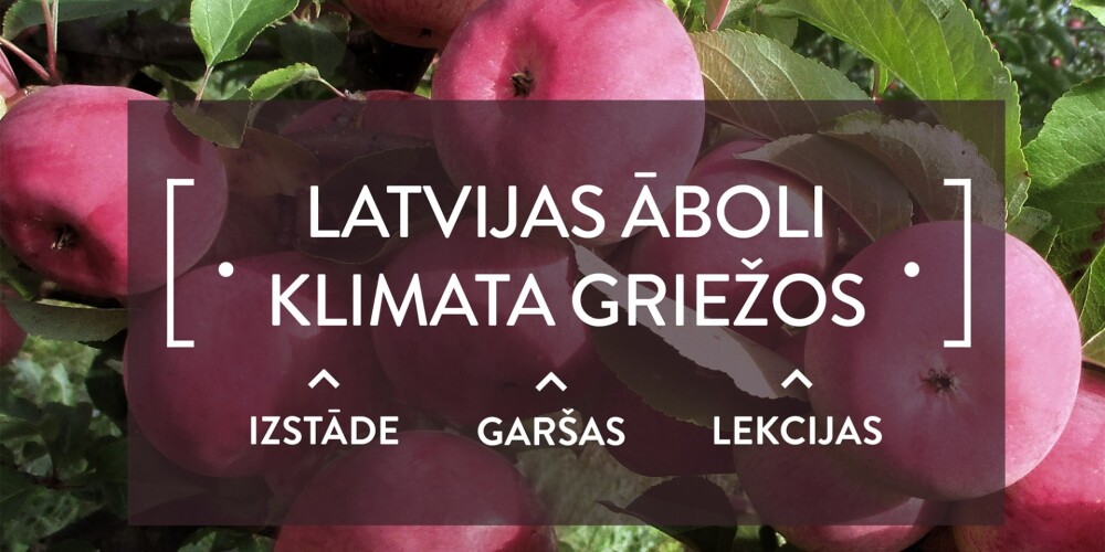 Latvijas valsts mežu vēstniecība aicina uz izstādi “Latvijas āboli klimata griežos”
