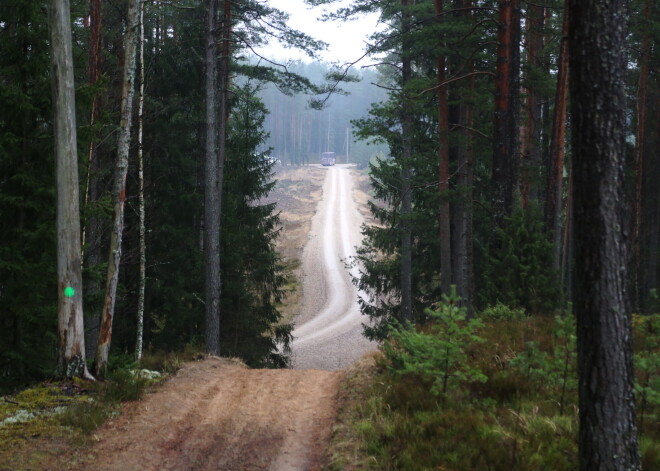 Meža pētnieks par jaunajiem koku ciršanas noteikumiem: „Mežam no tā ne silts, ne auksts. Tas ir tautsaimniecības jautājums”