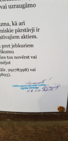 Ir acīmredzams, ka kārtības noteikumi pielikti nesen, jau pēc negadījuma.