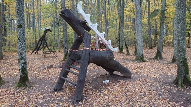 Nokrītot no šī slidkalniņa salūzušas margas dēļ, Elizabete guva smagas traumas.