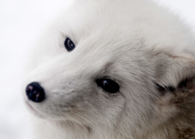 Прогноз погоды на субботу