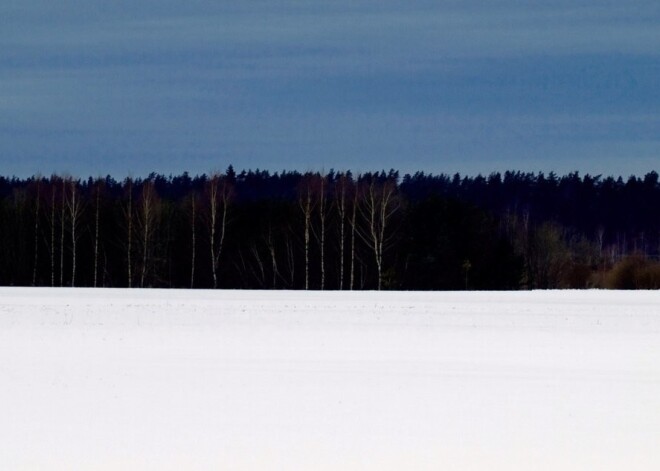 Igaunijas valsts 102. gadskārtai veltīts Latvijas dievturu sadraudzes pasākums