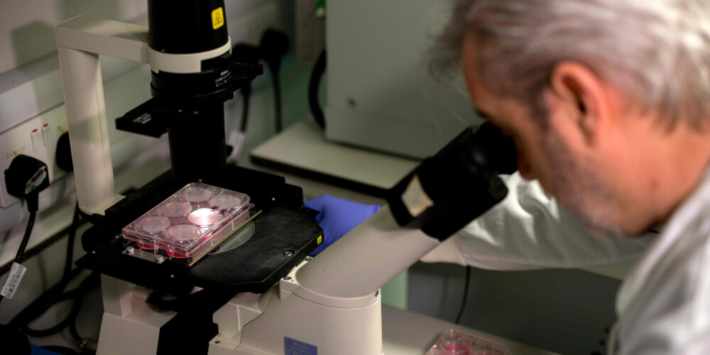 Ķīnas veselības uzraudzības amatpersonas publicē pirmo apjomīgo pētījumu par koronavīrusu