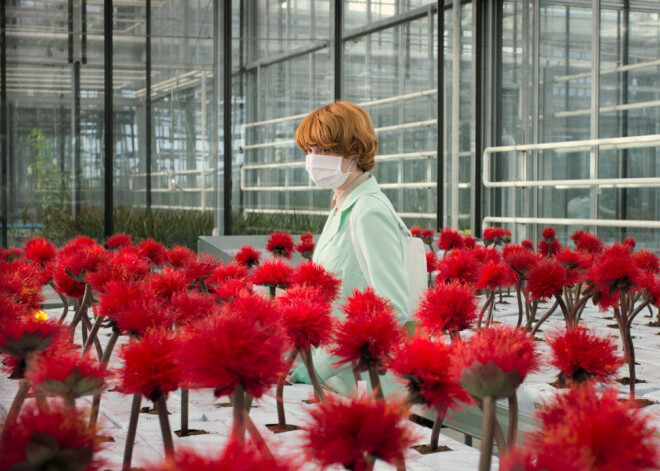 Filma “Laimes zieds” atklāj, cik bīstami ir tiekties pēc mūžīgas laimes