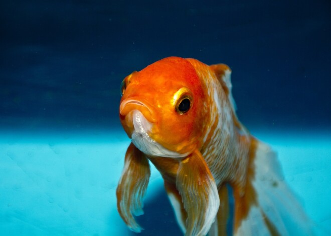 Что делать, если вас покинула удача: обычаи и приметы на 26 февраля