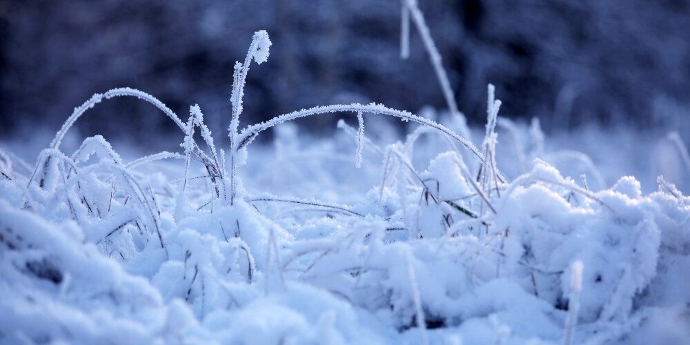 Vietām Latvijā zemi pārklājusi līdz pieciem centimetriem bieza sniega kārta