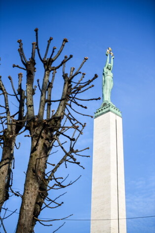 Liepu aleja pie Brīvības pieminekļa.