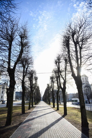 Liepu aleja pie Brīvības pieminekļa.