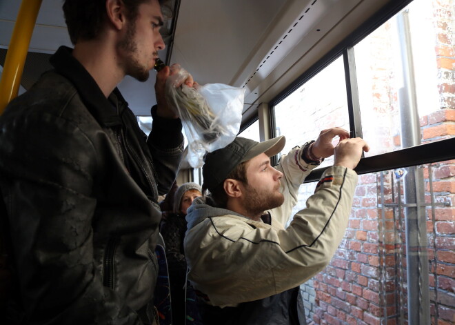 Kā neiekulties nepatikšanās sabiedriskajā transportā