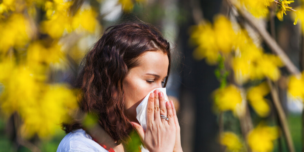 Šķaudīšana un iesnas liecina ne tikai par vīrusu klātbūtni. Kā sadzīvot ar pavasara alerģijām?