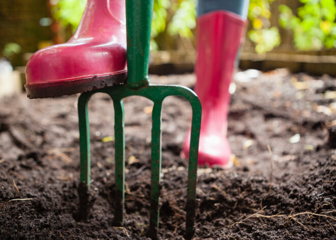 Pavasara darbi dārzā: kā augsni sagatavot sezonai