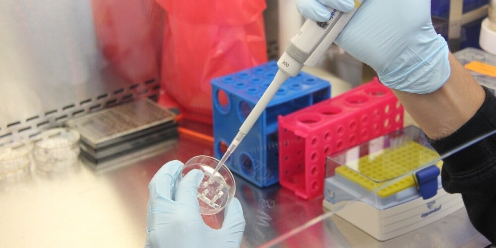 По подозрению на коронавирус в Латвии проверено 222 человека