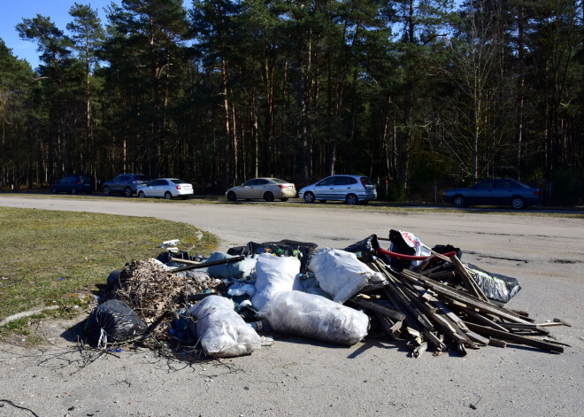 В Зиепниеккалнсе несколько лет не могут справиться с нелегальной свалкой