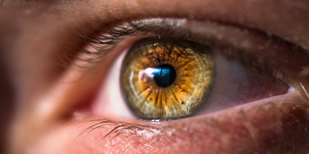 Viltīgā un klusā glaukoma – akluma cēlonis simtiem cilvēku Latvijā