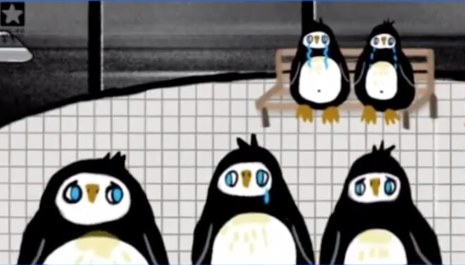 Harijs nav piefiksējis, ka patiesībā pingvīni Ziemeļpolā nedzīvo, viņu dzimtene ir dienvidu puslode.