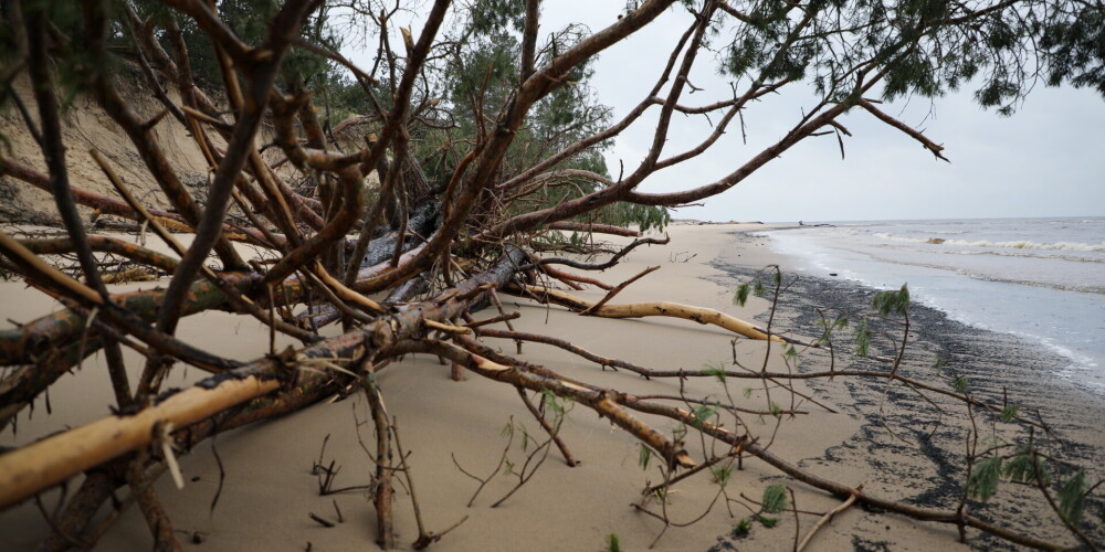 Vētras postījumi pie Gaujas ietekas jūrā