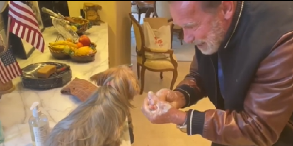 Арнольд Шварценеггер попробовал научить собаку мыть руки в рамках борьбы с коронавирусом