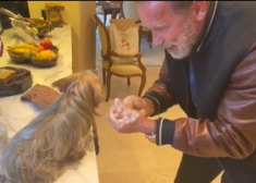 Арнольд Шварценеггер попробовал научить собаку мыть руки в рамках борьбы с коронавирусом
