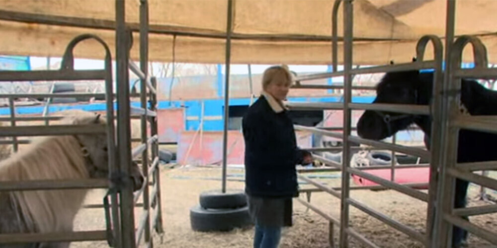 Čehu cirks ar dzīvniekiem slēgto robežu dēļ iestrēdzis Latvijā