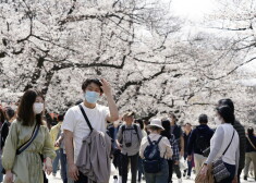 Kādēļ Japānai koronavīruss iet secen?