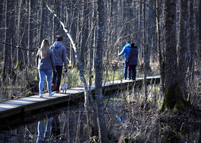 Slēgta daļa iecienīto tūrisma objektu - torņi, bunkuri un šaurās purva takas