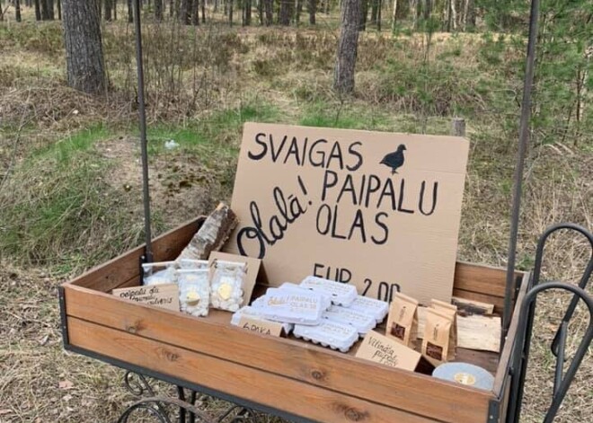 Paņem un samaksā - paipalu ferma savus produktus piedāvā ratos bez pārdevēja