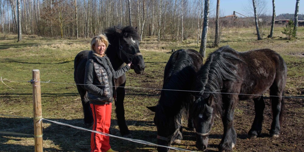 Rīgā iestrēgušā čehu cirka dzīvnieki atraduši pagaidu mājvietu; mākslinieki pārsteigti par latviešu atsaucību