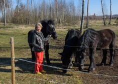 Cirka “Alex Circus” saimniece Anna Poļahova pie saviem dzīvniekiem pagaidu mājvietā jātnieku klubā “Mežezeri”.