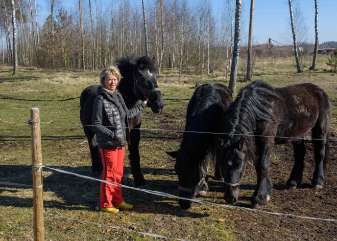 Rīgā iestrēgušā čehu cirka dzīvnieki atraduši pagaidu mājvietu; mākslinieki pārsteigti par latviešu atsaucību