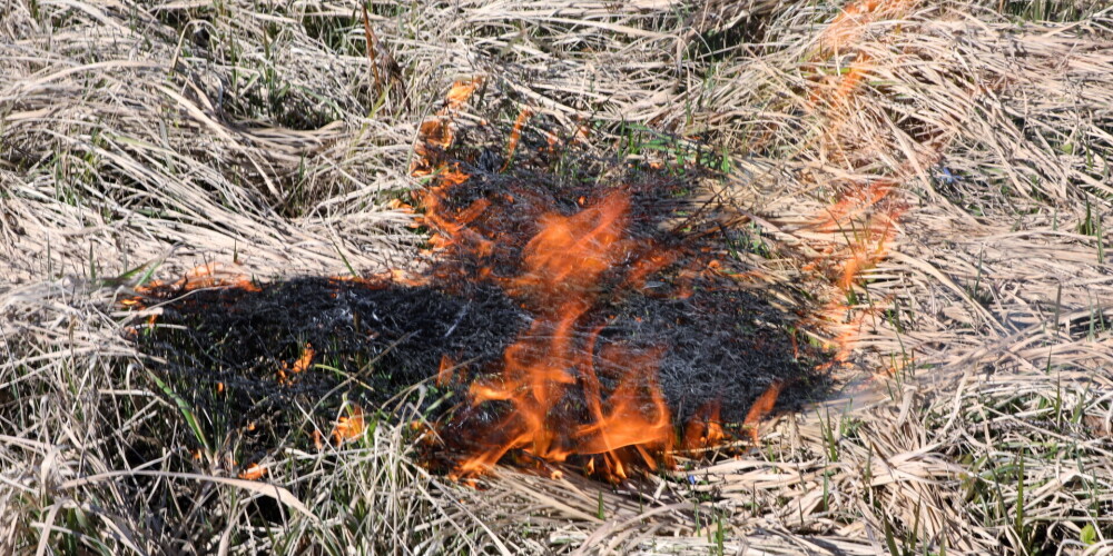 За прошедшие сутки был потушен 91 пожар сухой травы