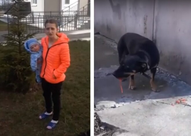 Мать при грудном ребенке до полусмерти забила собаку, а потом выкинула ее в окно