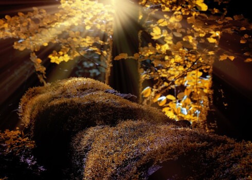 Иллюстративное фото