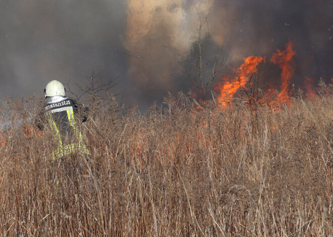 Latvijā šogad dzēsti jau 1048 kūlas ugunsgrēki