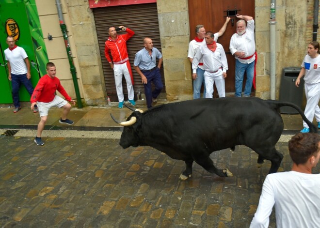 Pandēmijas dēļ atcelts ikgadējais Pamplonas vēršu skrējienu festivāls