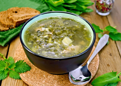 Pavasara zaļumu zupa