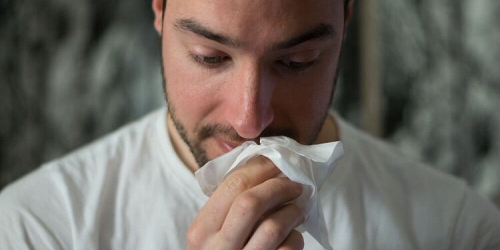 Pēkšņa alerģija pret bērzu spurdzēm. Ko darīt?