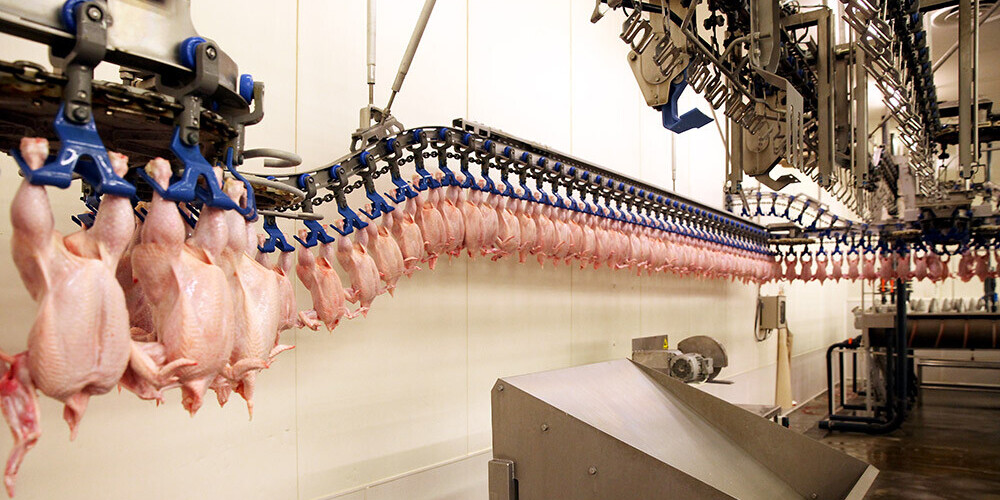 Patlaban no kopējiem 1100 "Putnu fabrika "Ķekava"" darbiniekiem tikai 50 var pilnvērtīgi strādāt attālinātā režīmā.