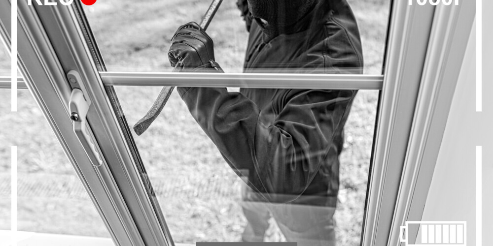 Zagļi ir kļuvuši arī agresīvāki.