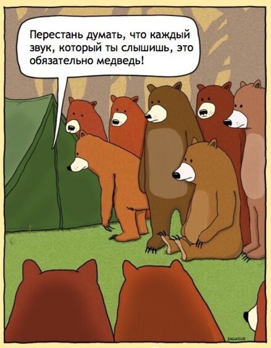 Медведь прикол
