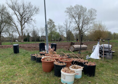 Kulturālo kartupeļu lauks Kuldīgā, sadarbībā ar Kuldīgas novada domi, pirmo reizi iestādīts pirms gada, apliecinot Imanta Ziedoņa pārlaicīgo darbu "Kurzemīte".