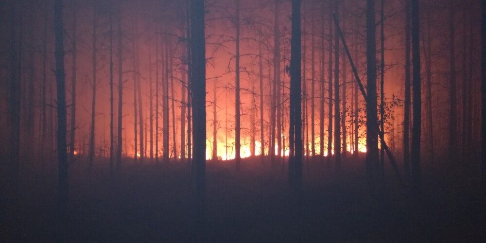 “Latvijas valsts meži” pārmet Dabas aizsardzības pārvaldei “ugunsgrēku veicināšanu”