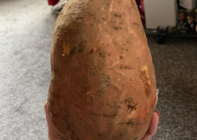 Pasūtīt pārtiku internetā: kuriozi pārsteigumi iepirkumu maisiņos