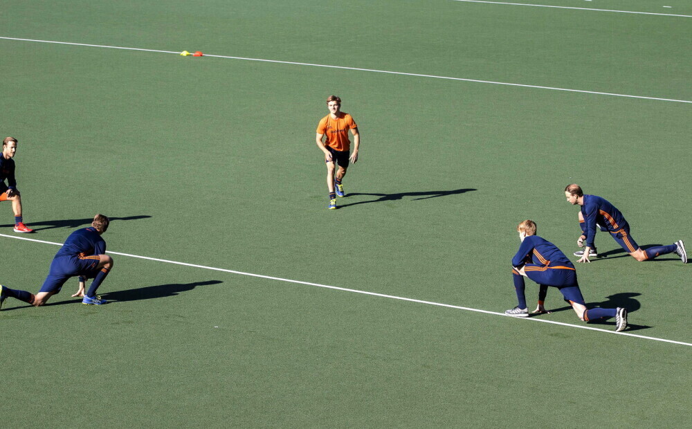 Спортивная тренировка матвеев