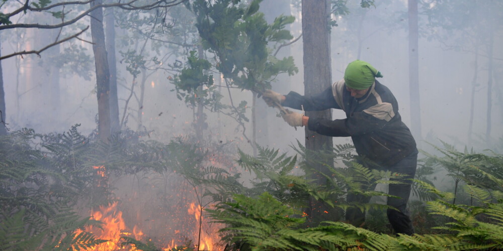 Ministrija steidzina Dabas aizsardzības pārvaldi saskaņot plānu Kurzemes mežu ugunsgrēku novēršanai