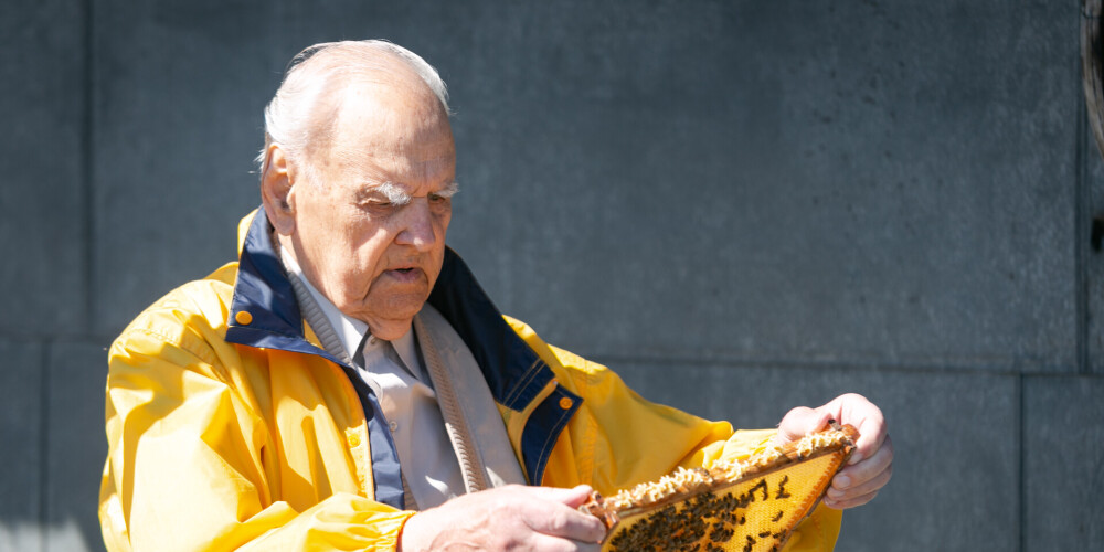 Gunārs Placēns uz teātra jumta iekopj bišu dravu